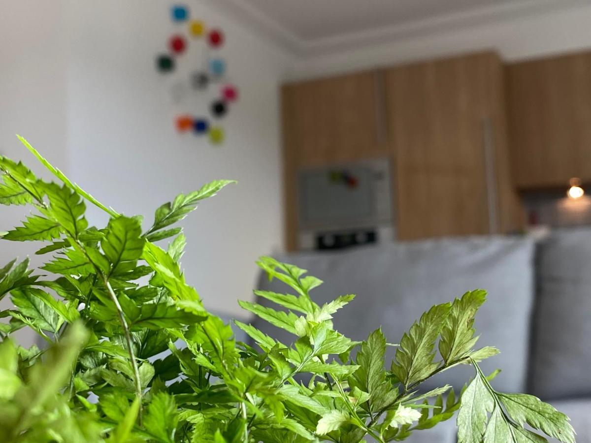 The Duplex Nairn- Spacious 3 Bedroom With Sunny Balcony Zewnętrze zdjęcie